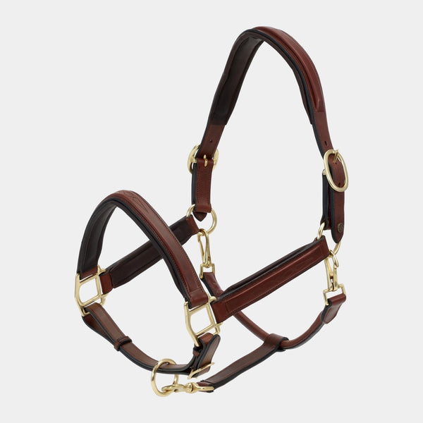 A Equipt Hickstead leather halter - Gold