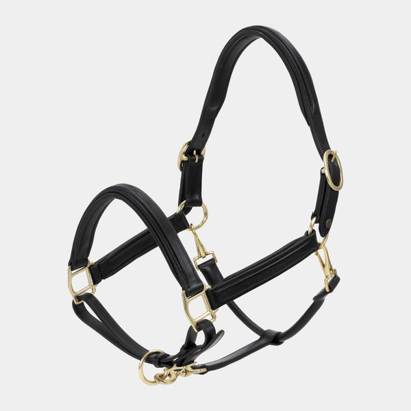 A Equipt Hickstead leather halter - Gold