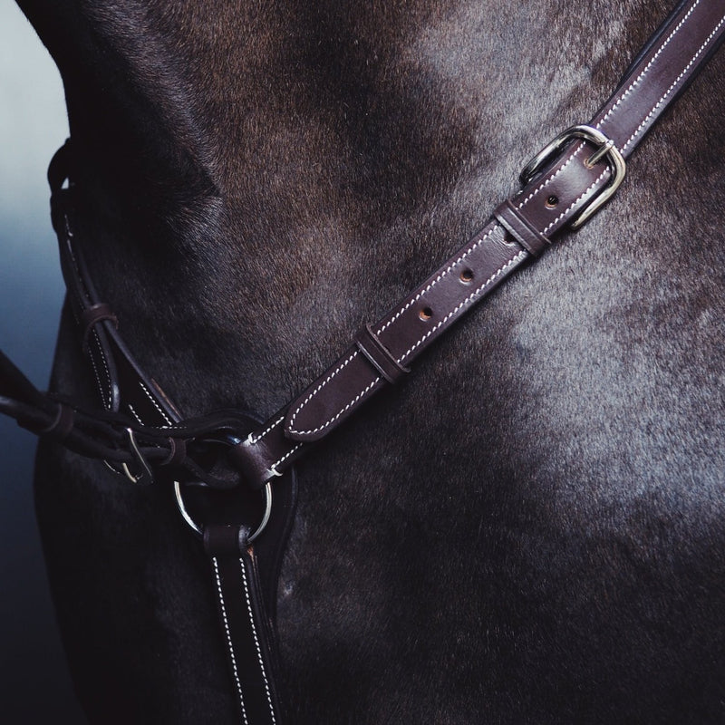 A Equipt Olympic breastplate