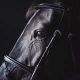 A Equipt Olympic Bridle