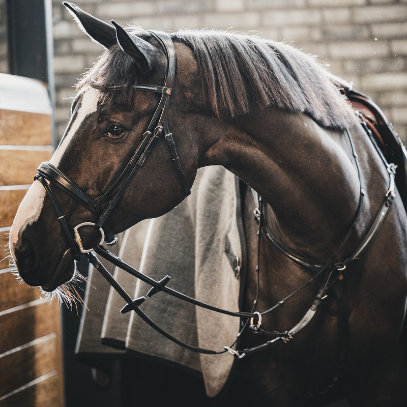 A Equipt Agenda breastplate