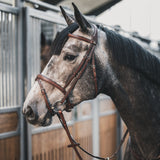 A Equipt Agenda bridle