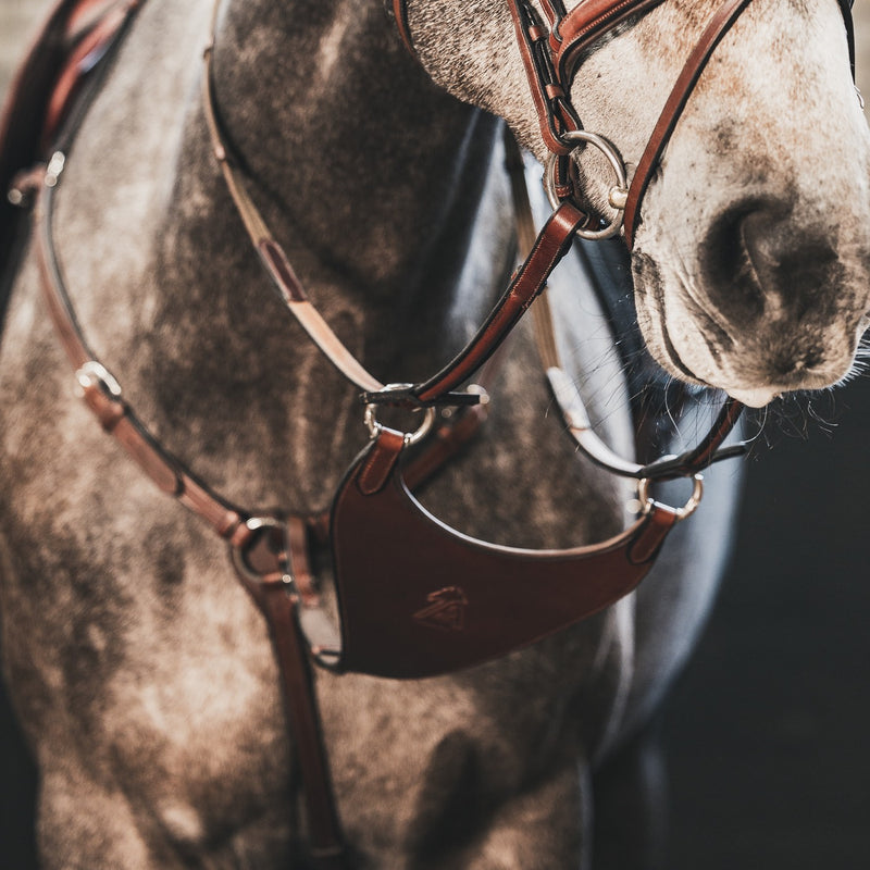 A Equipt Bib martingale