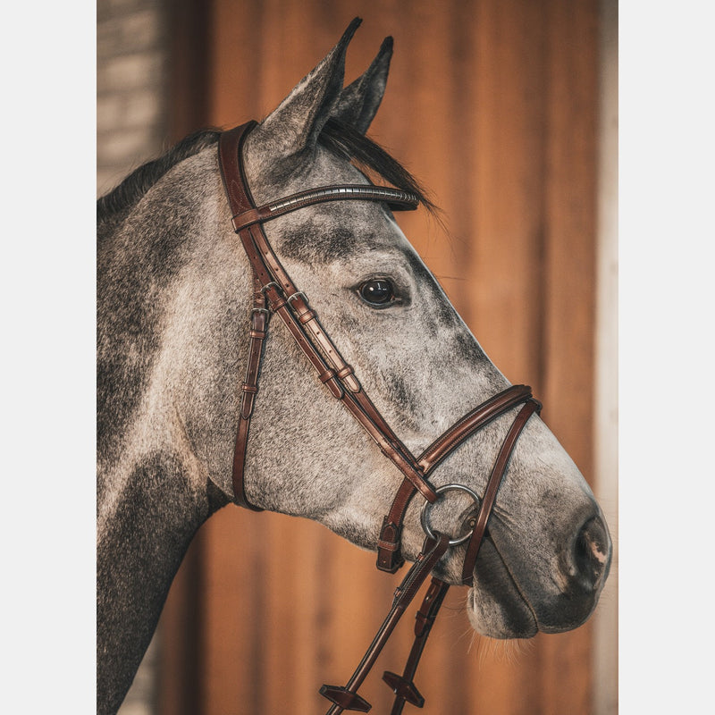 A Equipt Clincher Browband - Silver