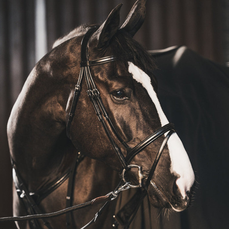 A Equipt New Olympic bridle