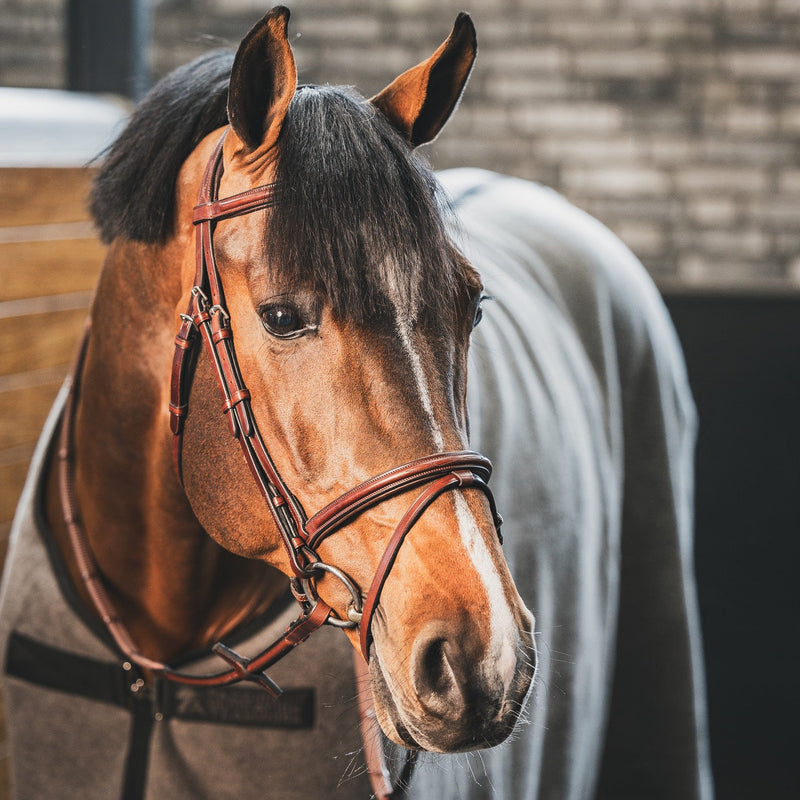 A Equipt Vienna Bridle