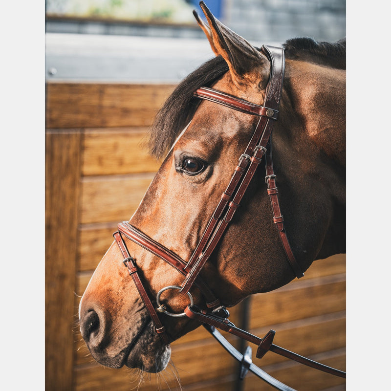 A Equipt Vienna Bridle