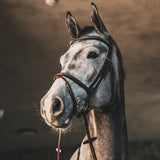 A Equipt Vienna Bridle