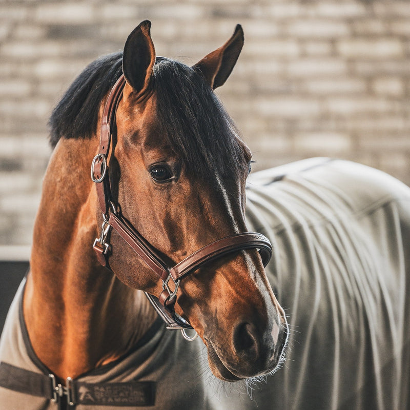 A Equipt Hickstead leather halter - silver