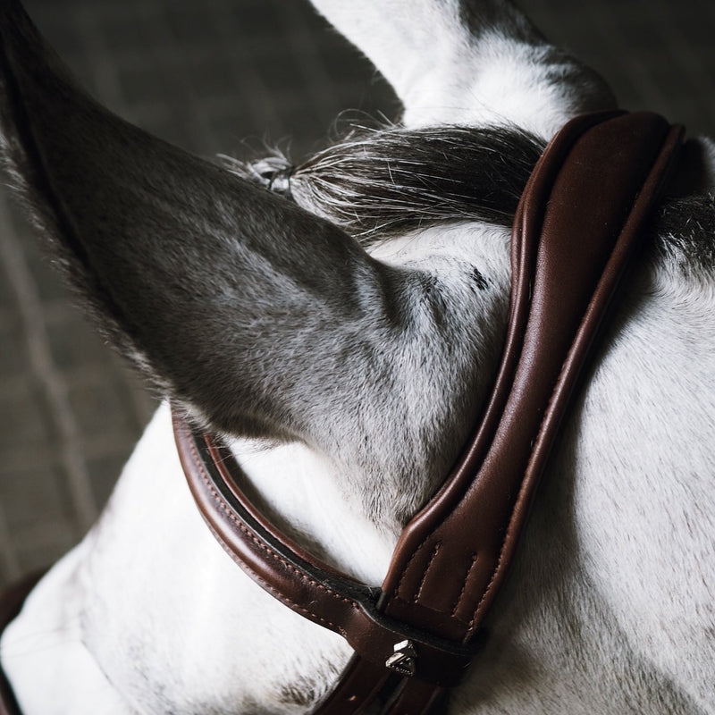 A Equipt Agenda bridle