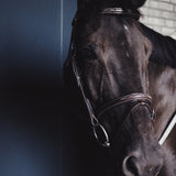 A Equipt Olympic Bridle