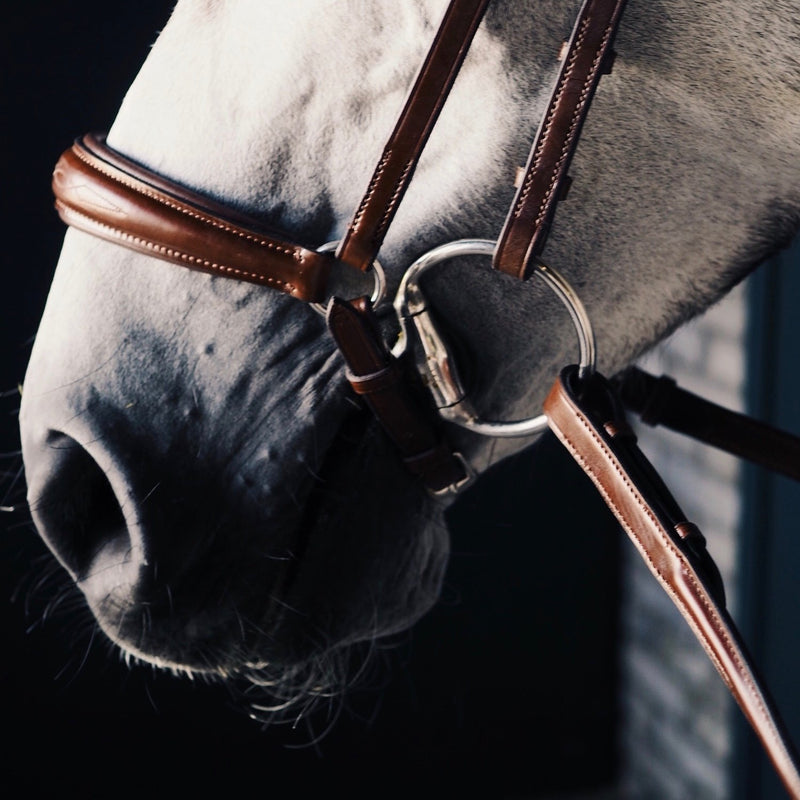 A Equipt Agenda Drop Noseband