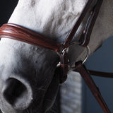 A Equipt Agenda Drop Noseband