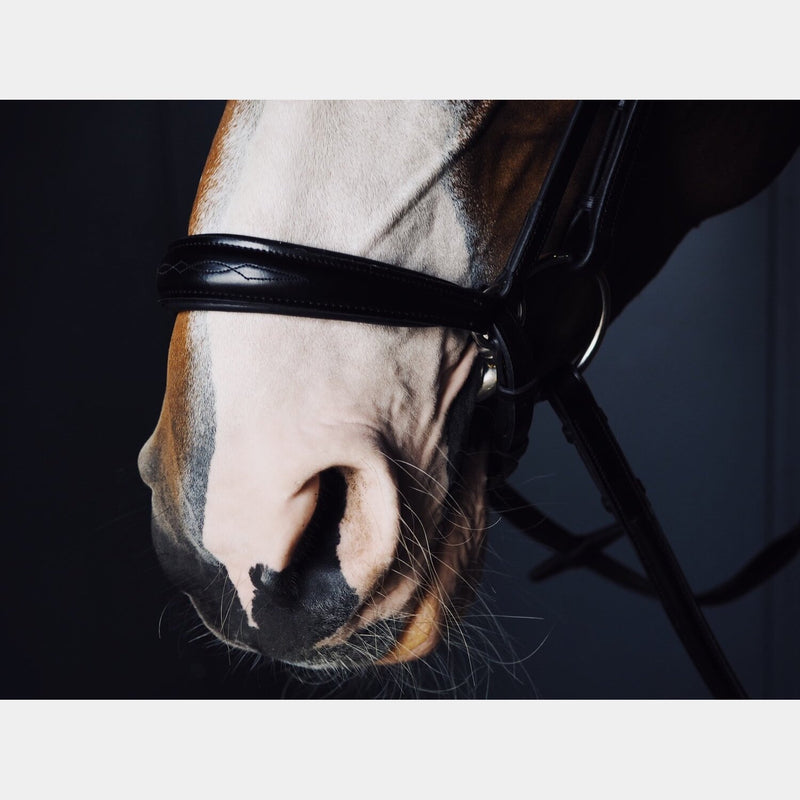 A Equipt Agenda Drop Noseband