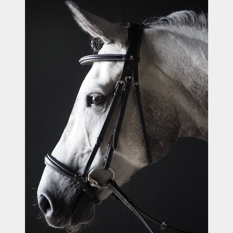 A Equipt Olympic Drop Noseband