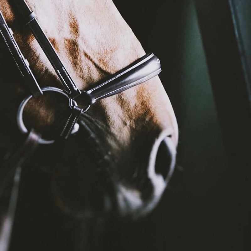 A Equipt Olympic Drop Noseband