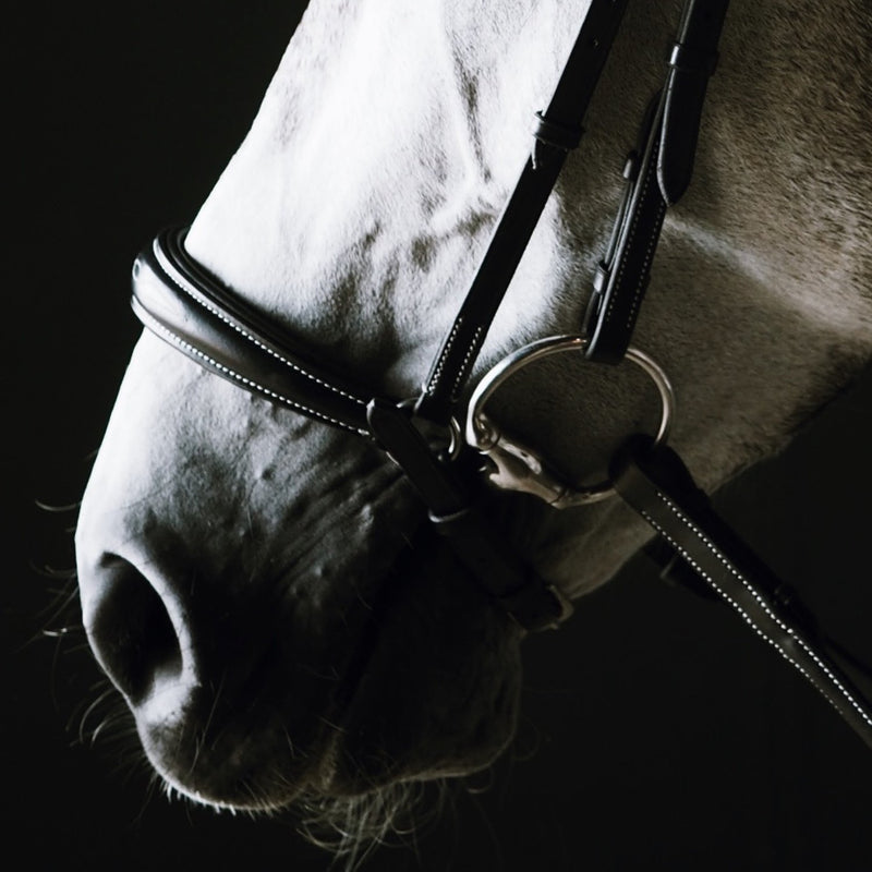 A Equipt Olympic Drop Noseband